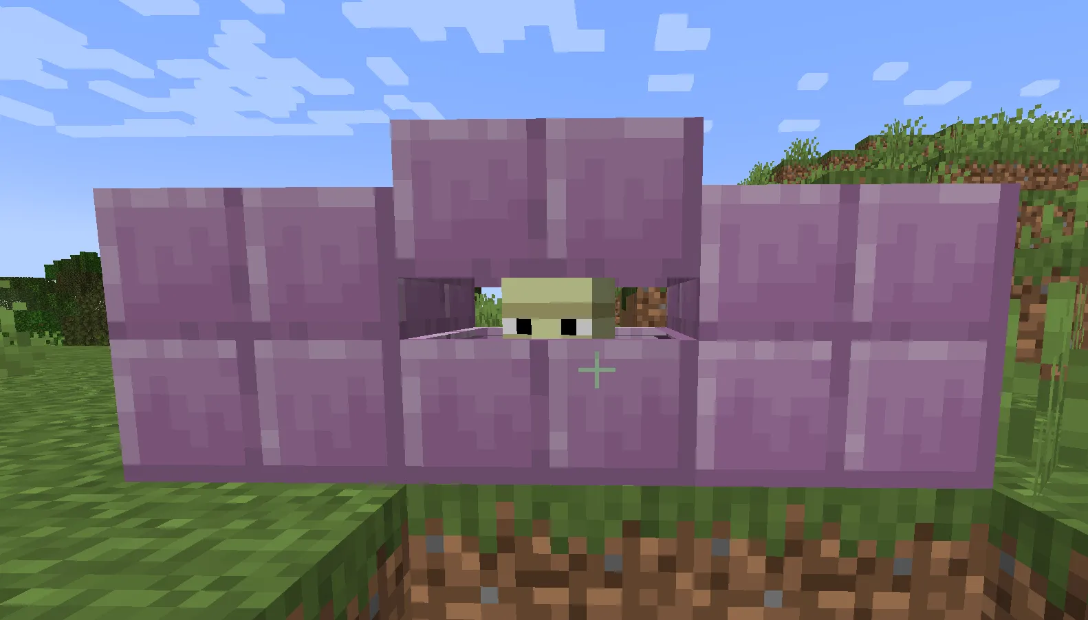 Camouflaging Shulkers, Текстуры, Minecraft