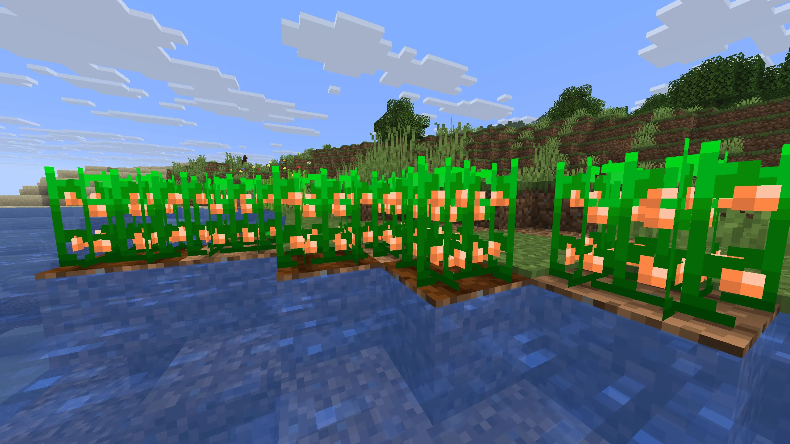 Oranges! (and more), Моды, Minecraft