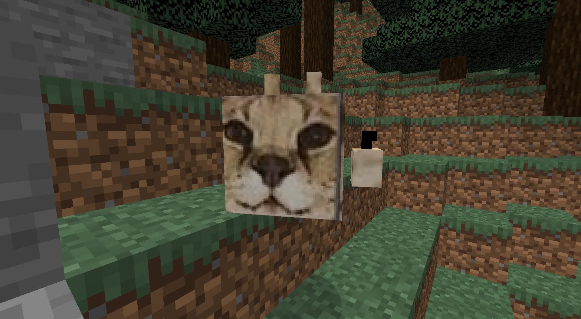 Floppa Worlds, Моды, Minecraft