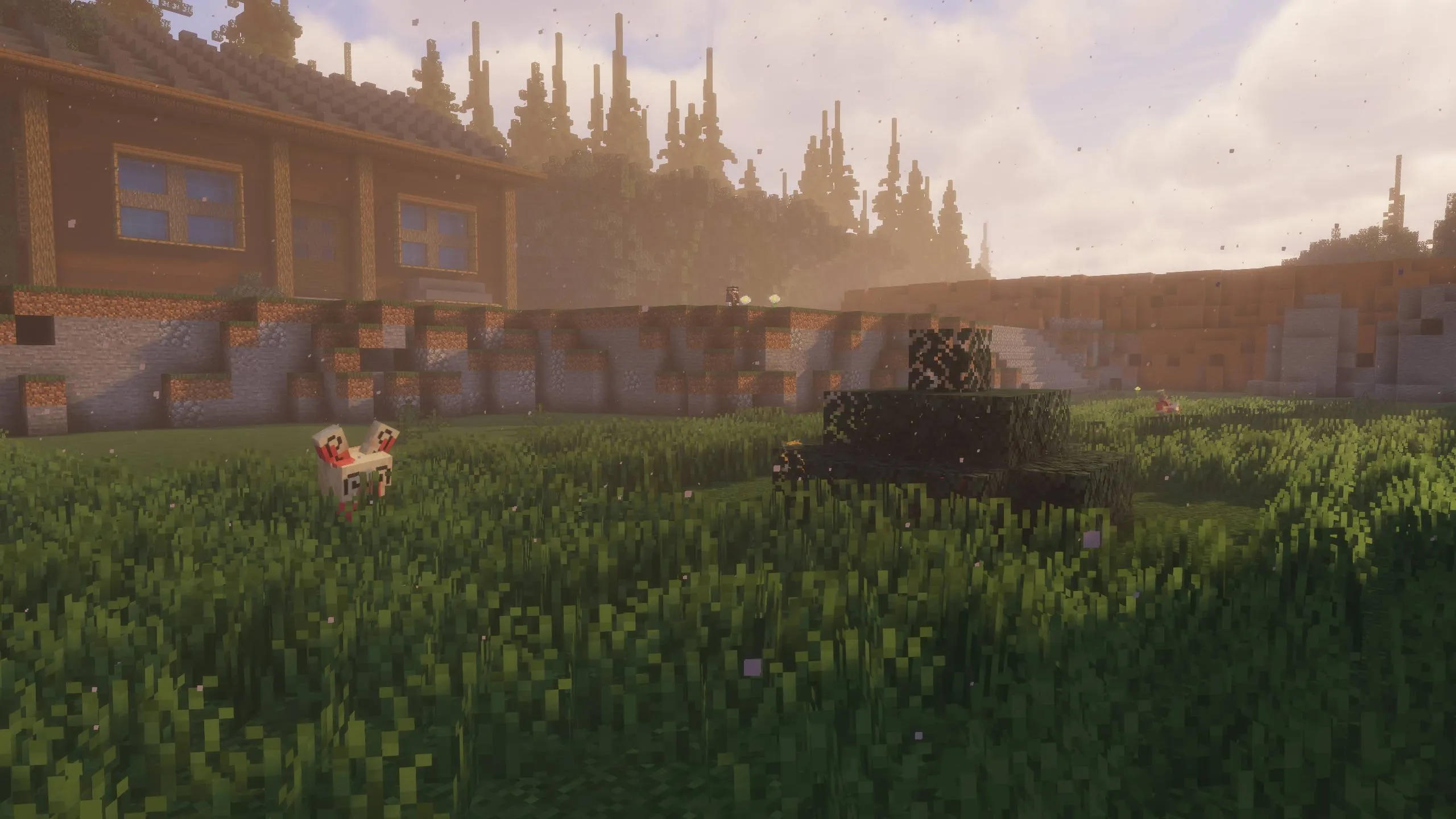 Cobblemon Hoenn - Pokemon's OmegaRuby and AlphaSapphire Recreated, Карты, Minecraft