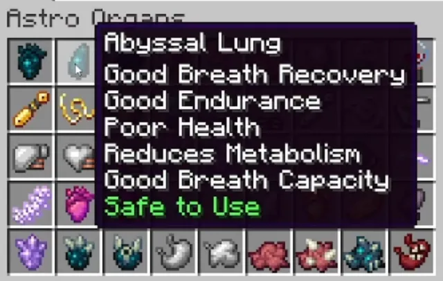Astro adds to Chest Cavity (updated)  [Fabric], Моды, Minecraft