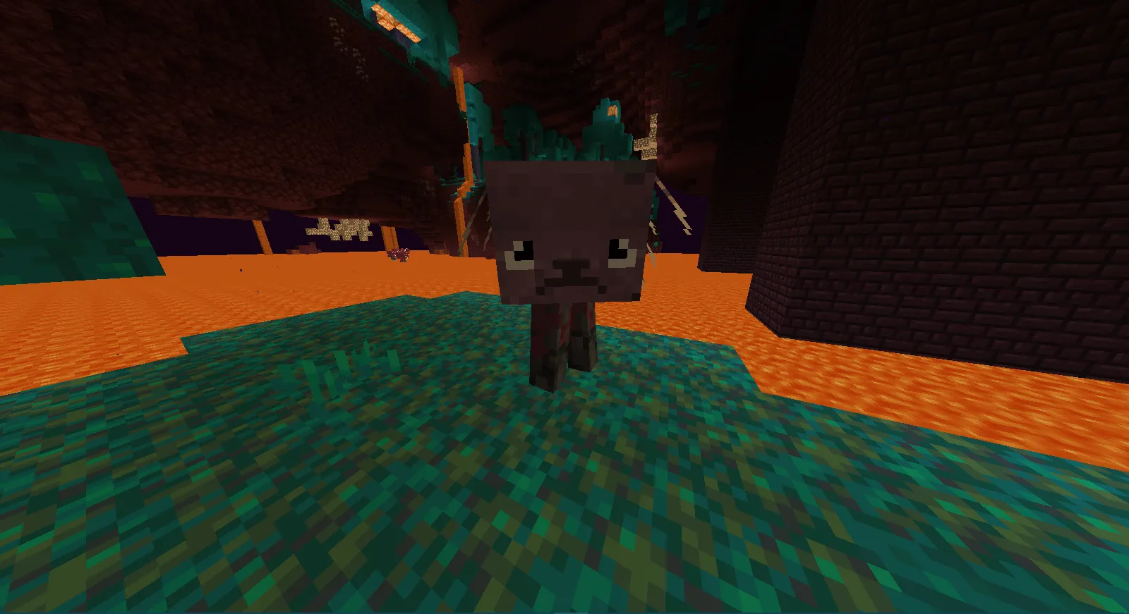 The Cutest Striders, Текстуры, Minecraft