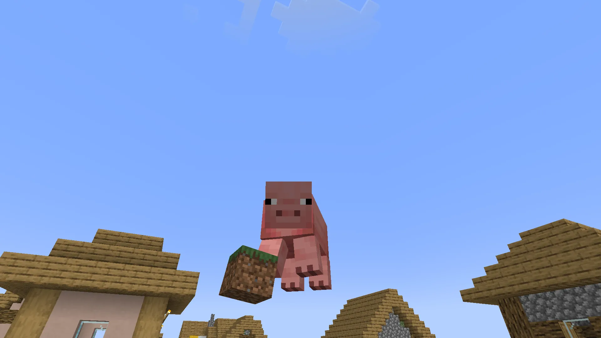 PigsCanFly, Текстуры, Minecraft