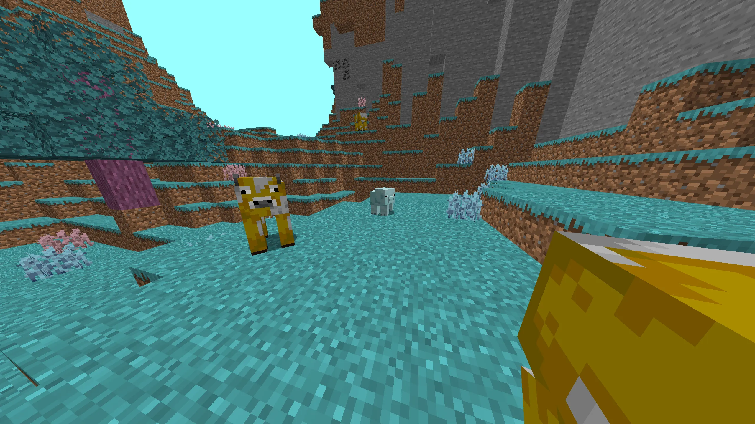 MrBeast Dimension, Моды, Minecraft