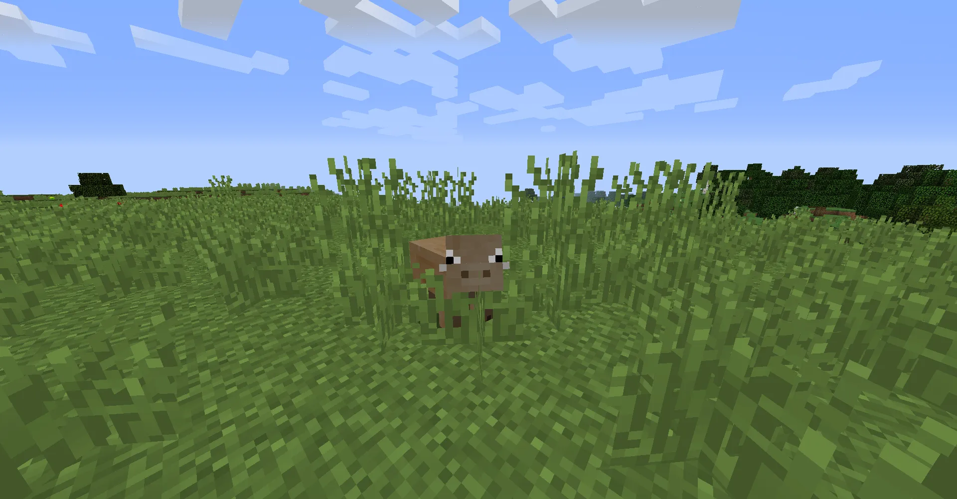 MC Vanilla Expansion, Моды, Minecraft