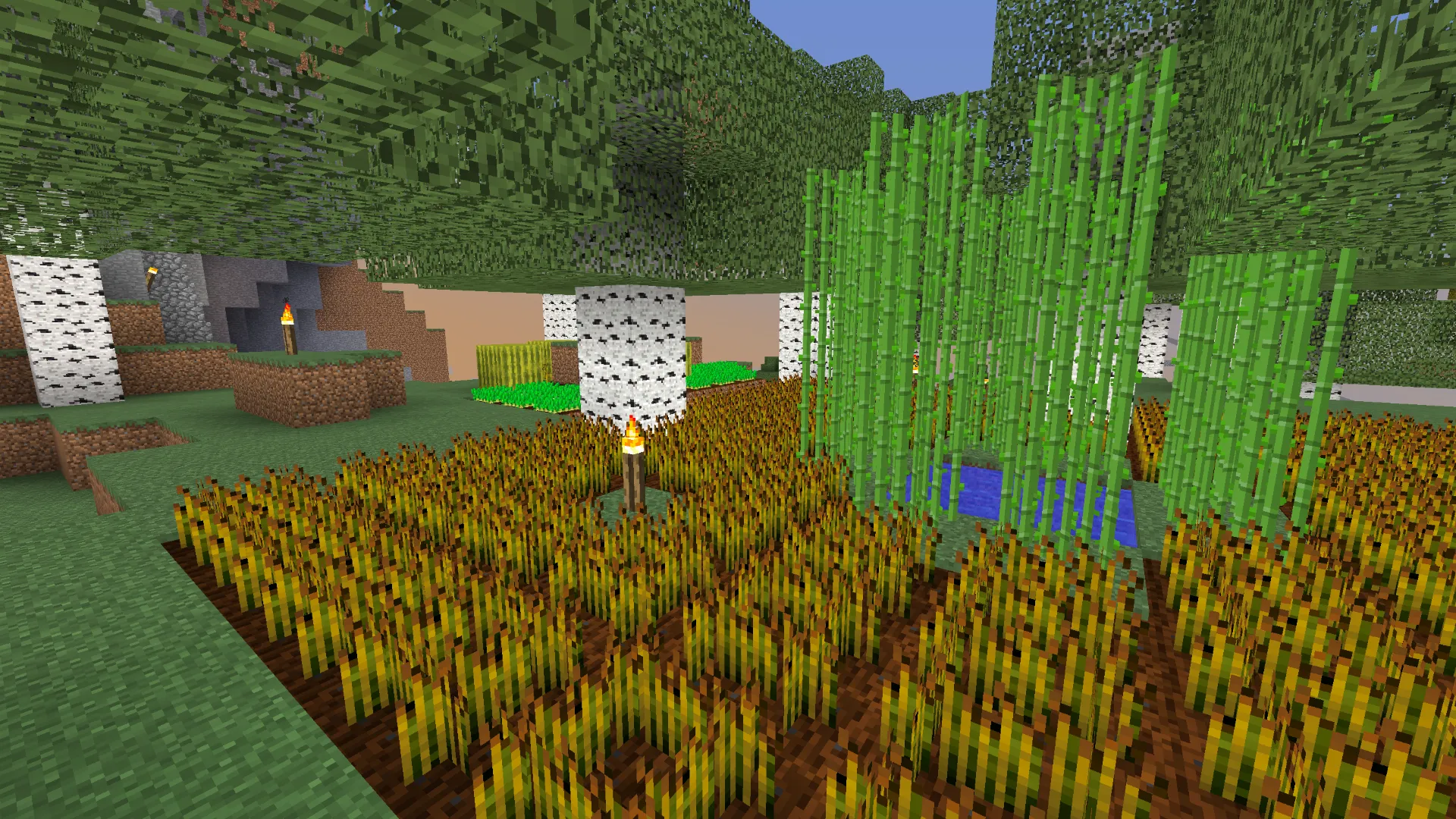 Shrunken, Текстуры, Minecraft