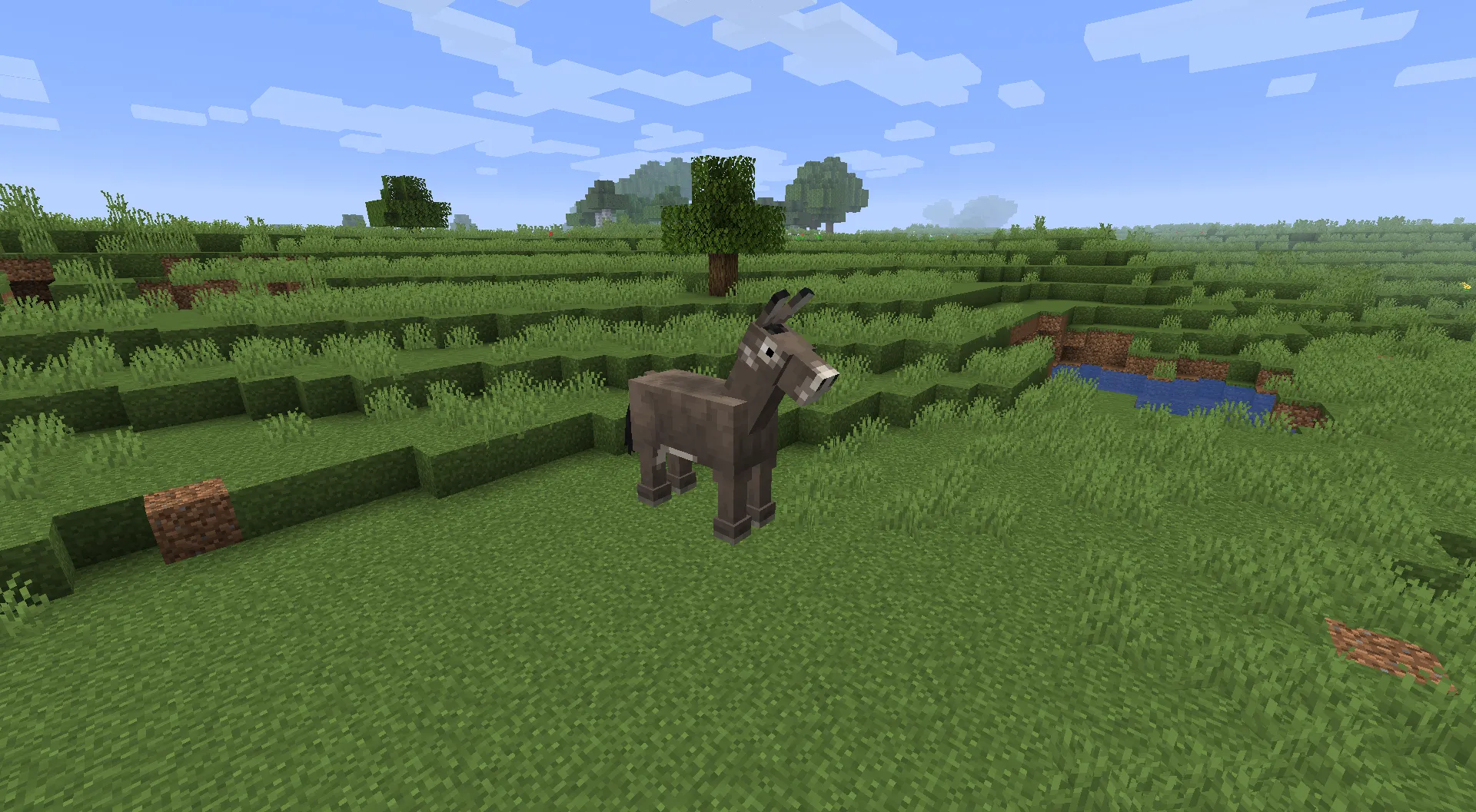 Old Horses in 1.13/1.14+ — скриншот 6 (Текстуры, Minecraft)