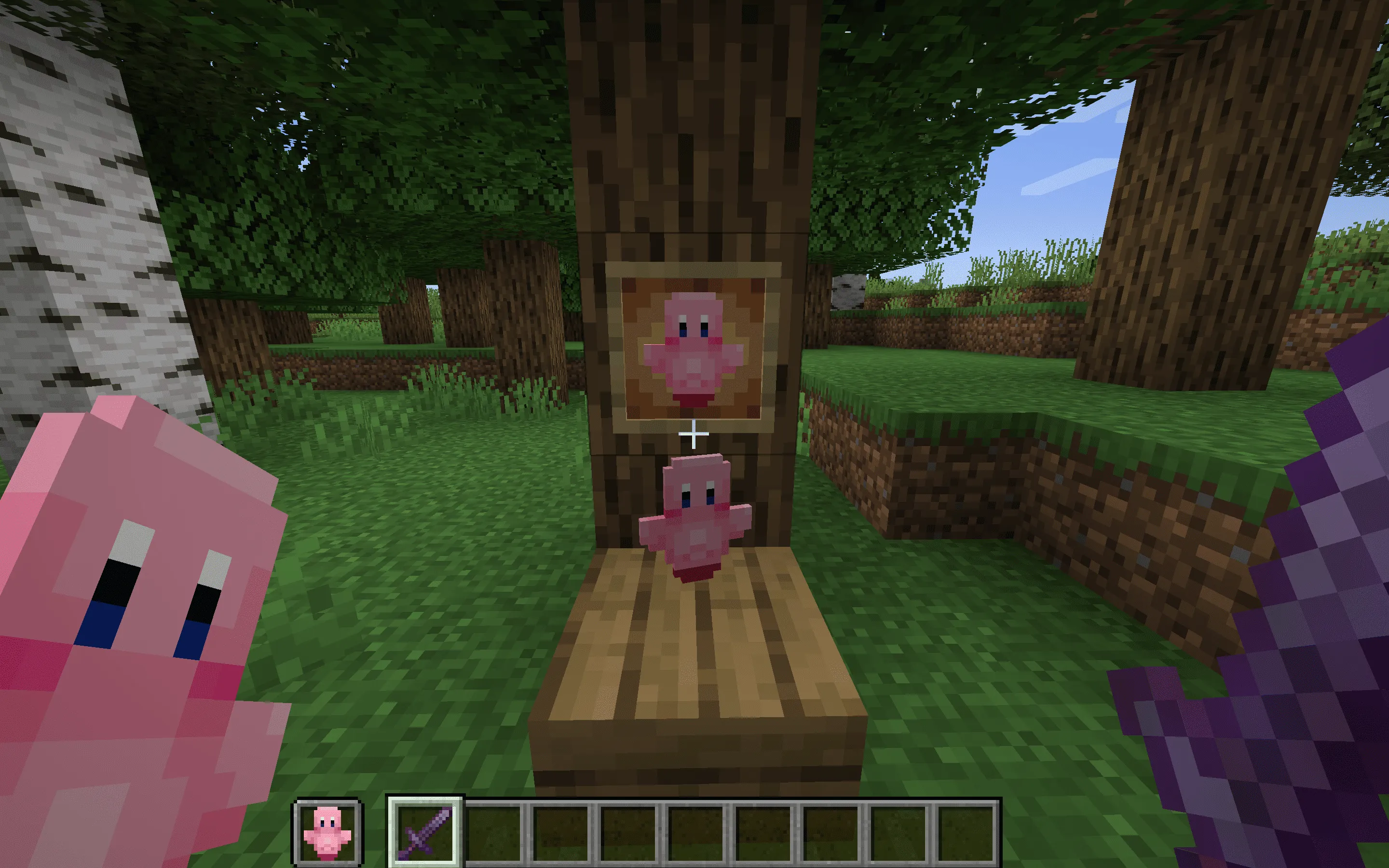 Kirby Totem of Undying, Текстуры, Minecraft