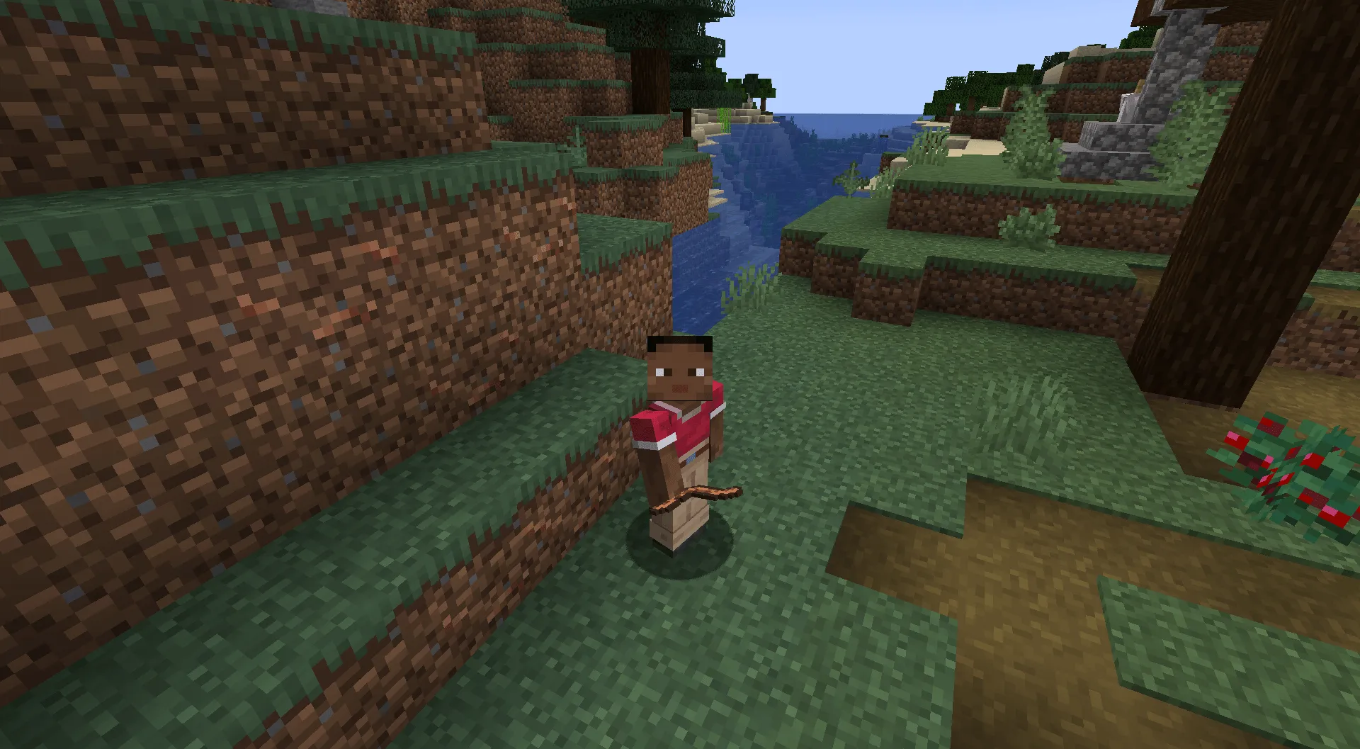TerraVermis, Моды, Minecraft