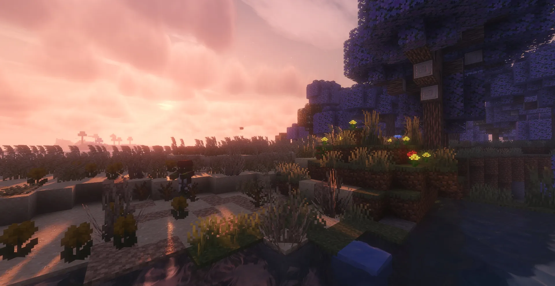 Summer Apocalypse - Zombie Curse, Модпаки, Minecraft