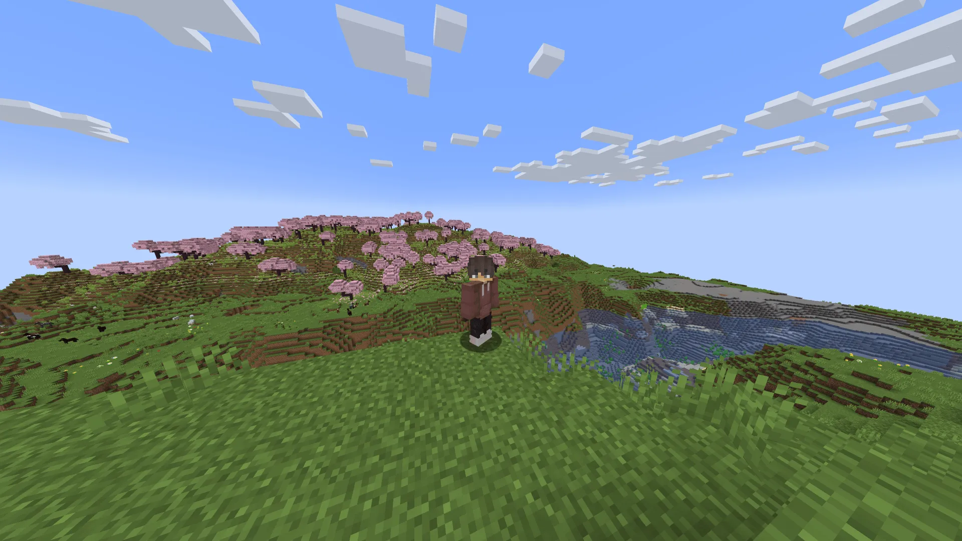 In-Game Player Skin Changer — скриншот 1 (Моды, Minecraft)