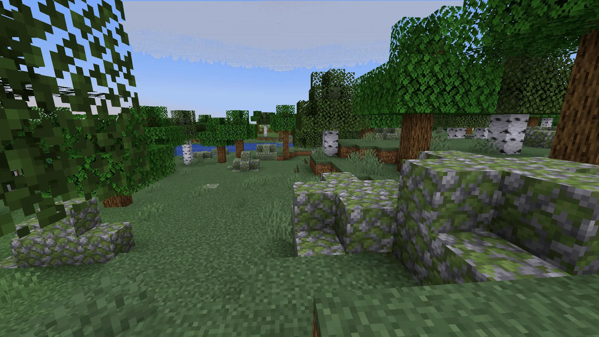 Biome Fest, Моды, Minecraft