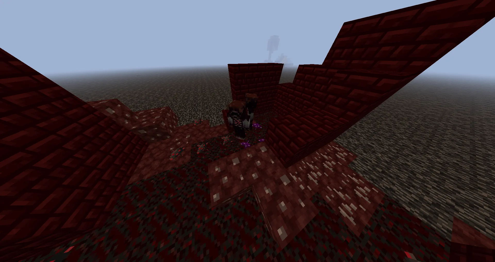 Wild Nether Update, Моды, Minecraft