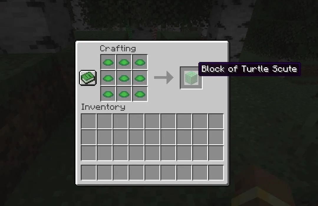 Blocks of Scute — скриншот 2 (Моды, Minecraft)