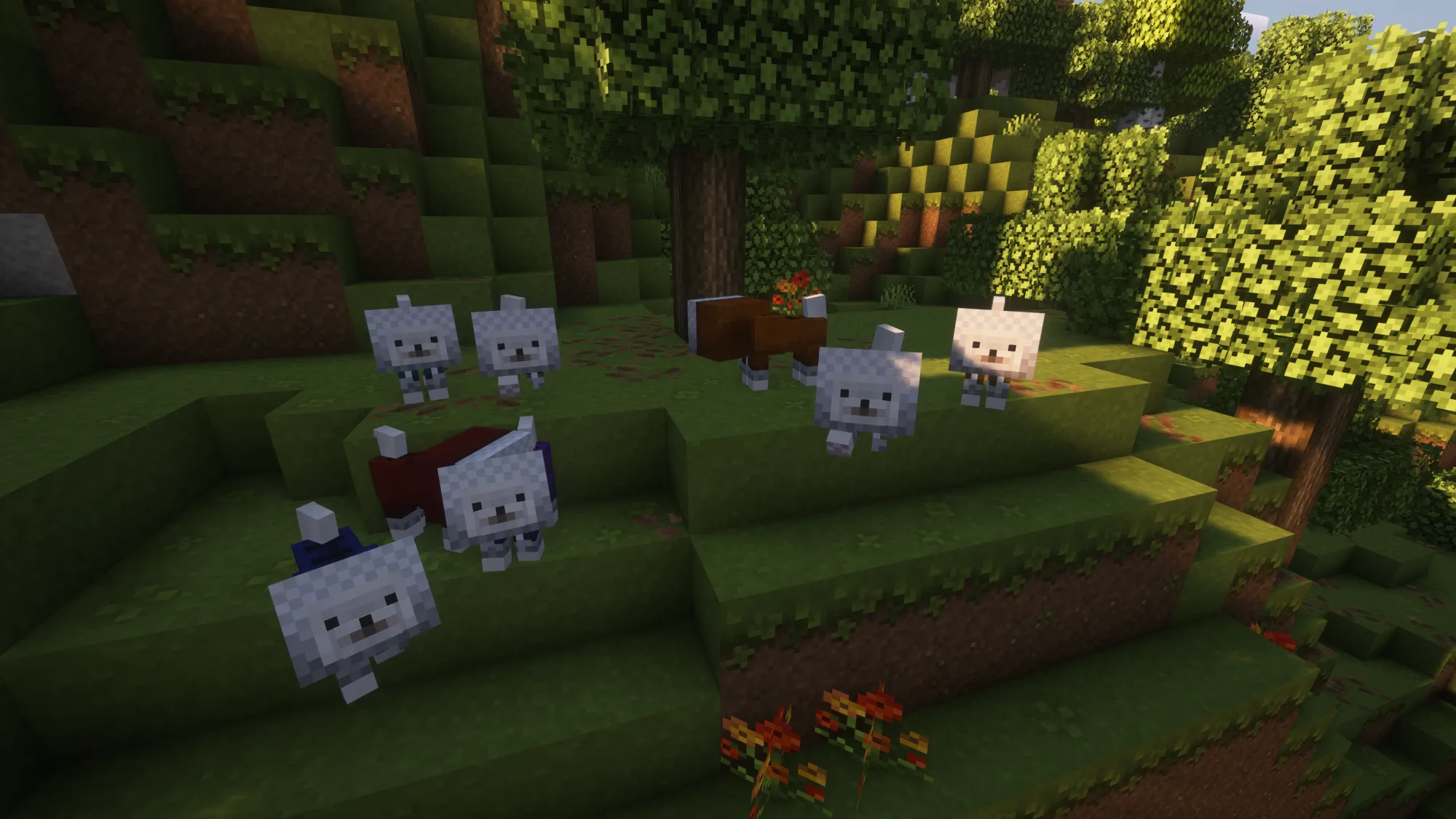 Wolf To Bichon dog — скриншот 1 (Текстуры, Minecraft)