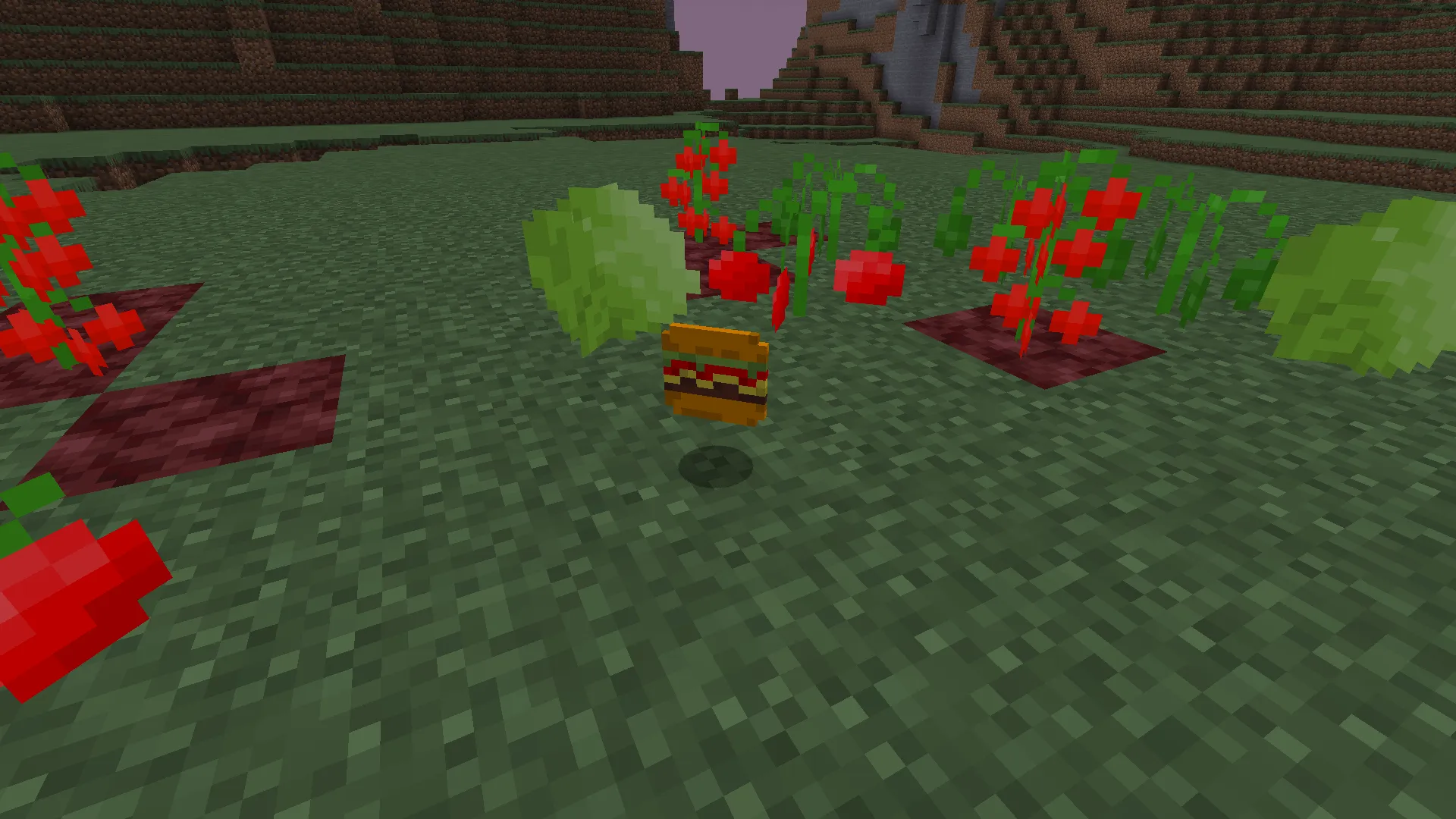 FreedomCraft, Моды, Minecraft