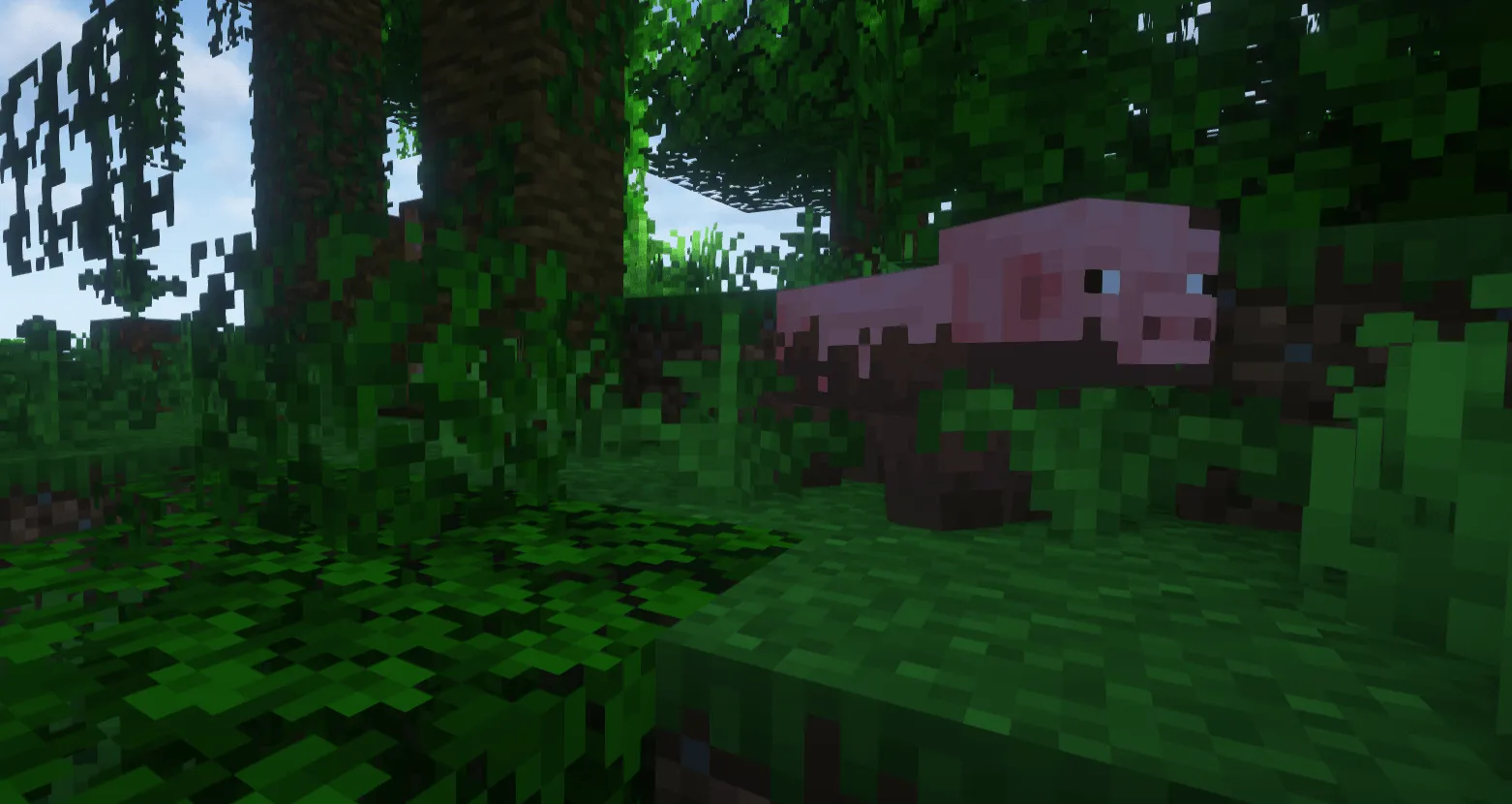 Biomes and Creatures NovaTerra, Моды, Minecraft
