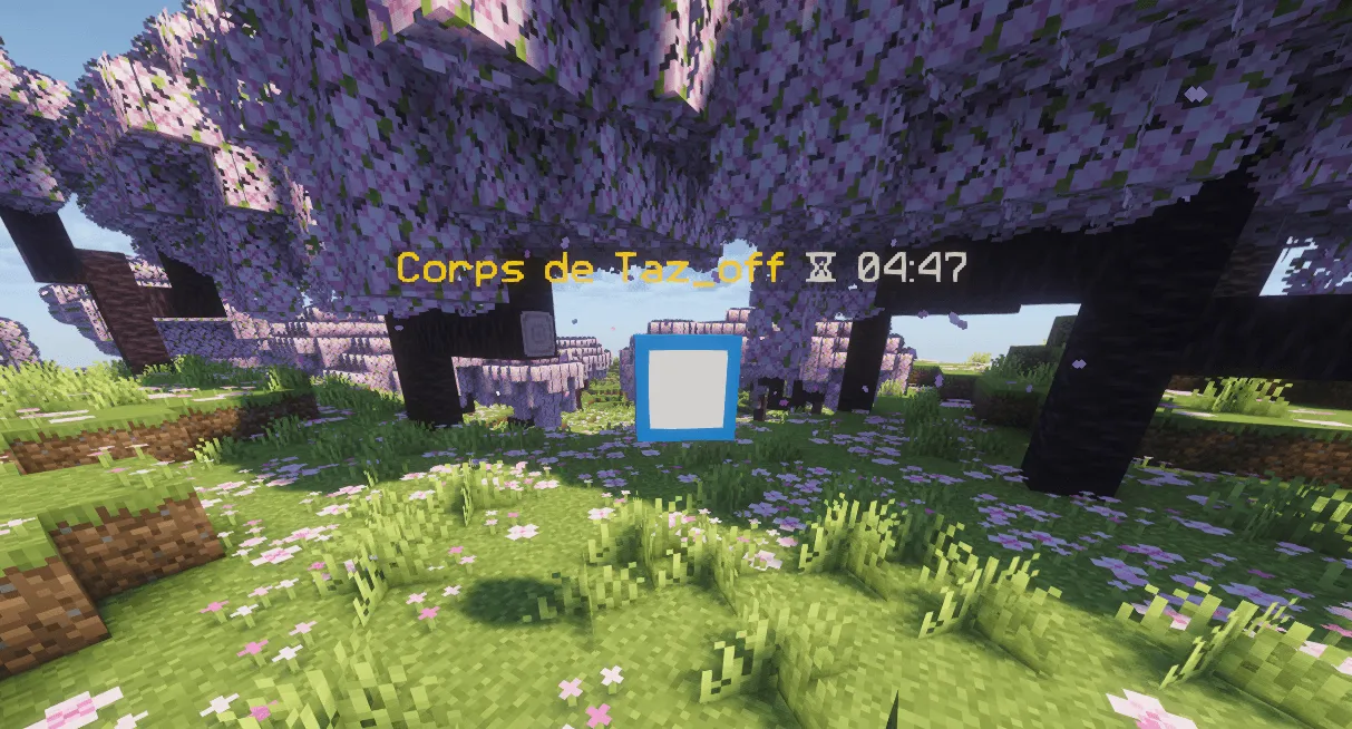 DeathTeleportPay — скриншот 3 (Плагины, Minecraft)