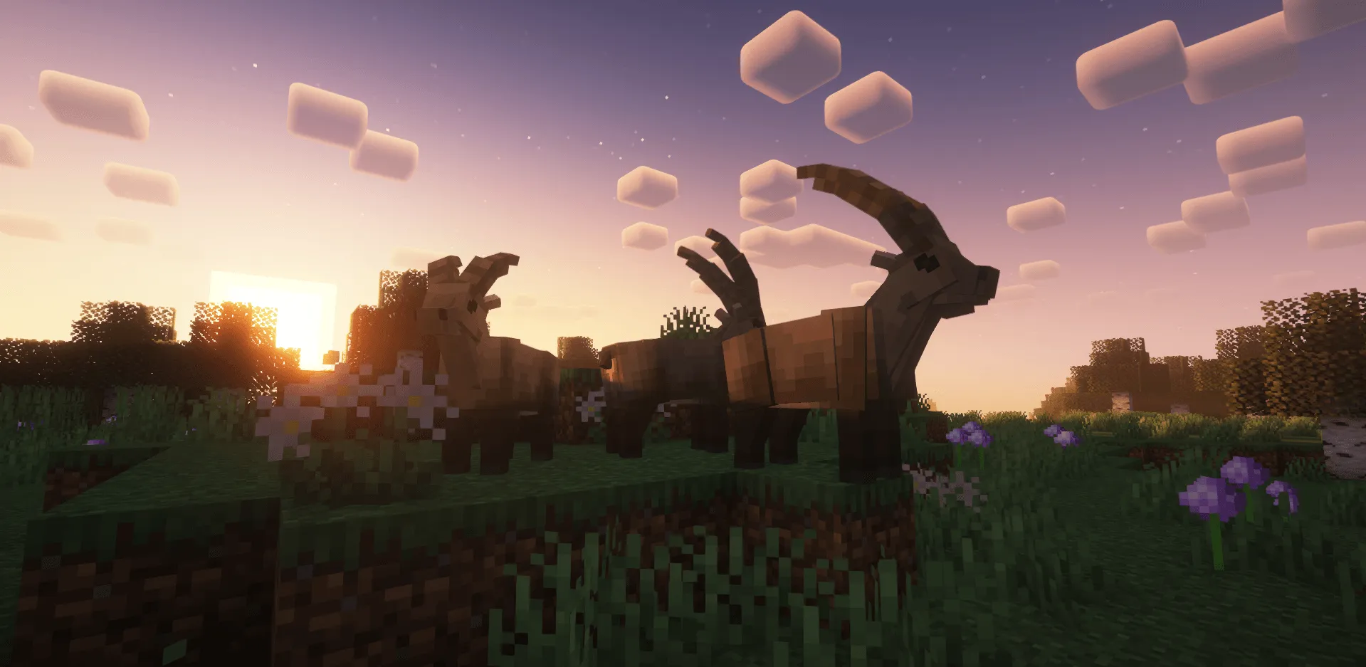 A Zoological Project, Моды, Minecraft