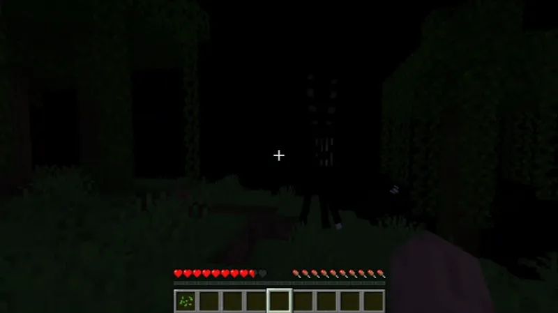 The Confusing Dweller, Моды, Minecraft