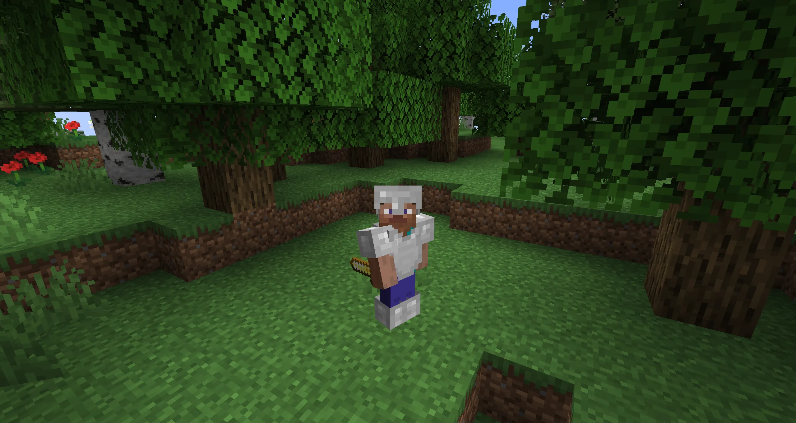 MedievalWeapons, Моды, Minecraft