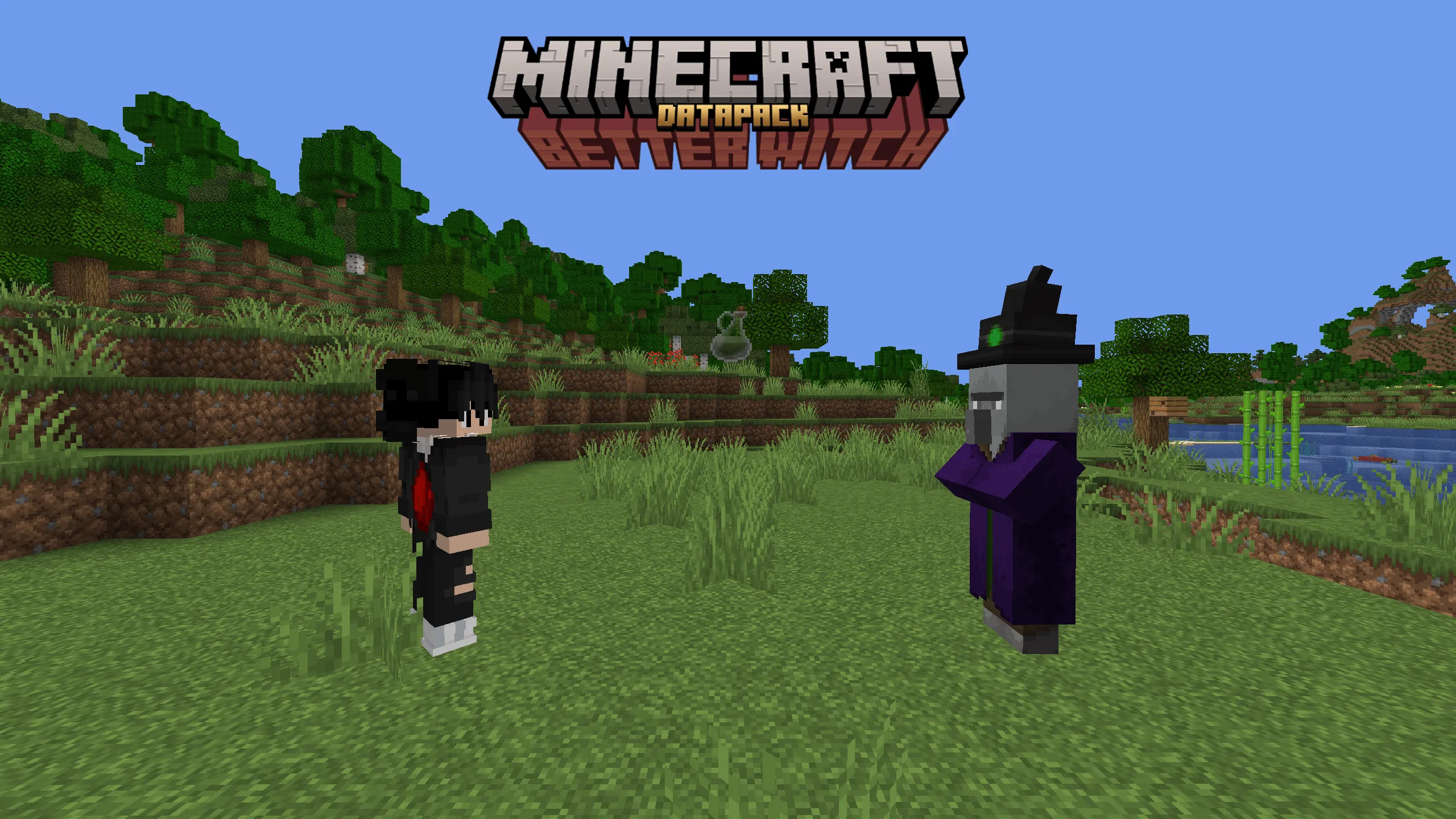 Better Witch, Текстуры, Minecraft