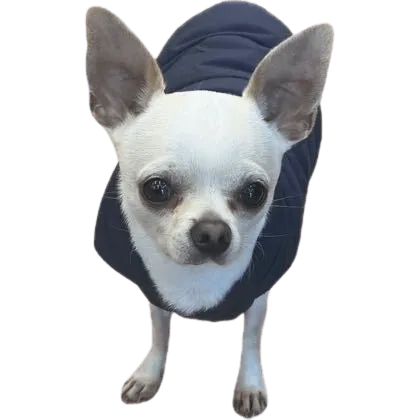 QA Resource Pack, Текстуры, Minecraft