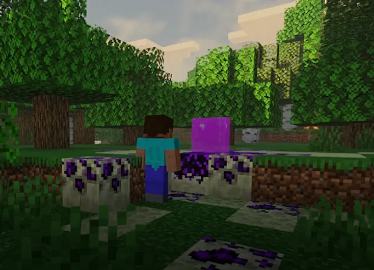 theladerscomplementation, Моды, Minecraft