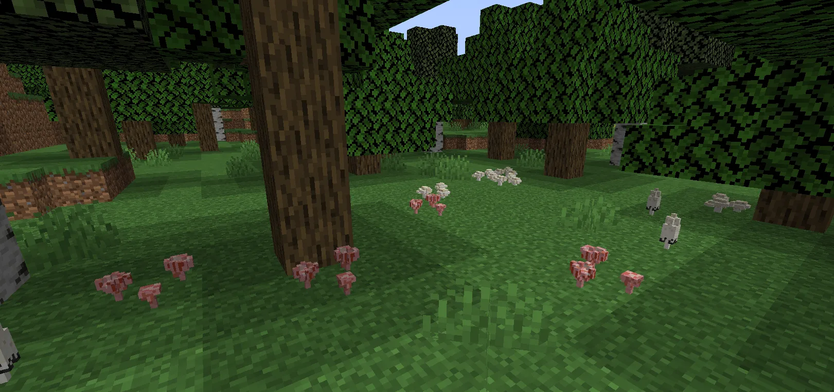 Fungology, Моды, Minecraft