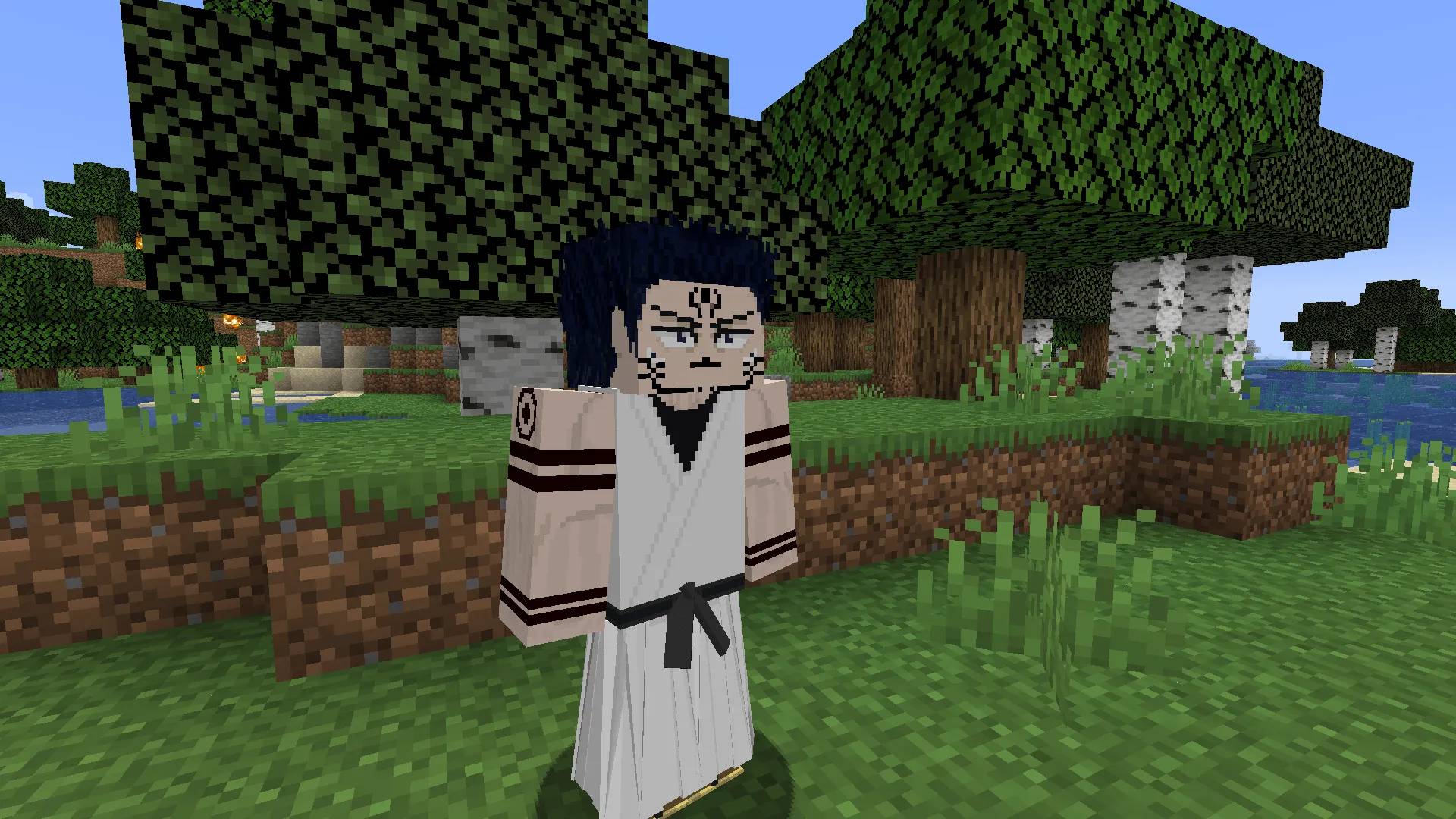 Better Jujutsu Craft, Текстуры, Minecraft