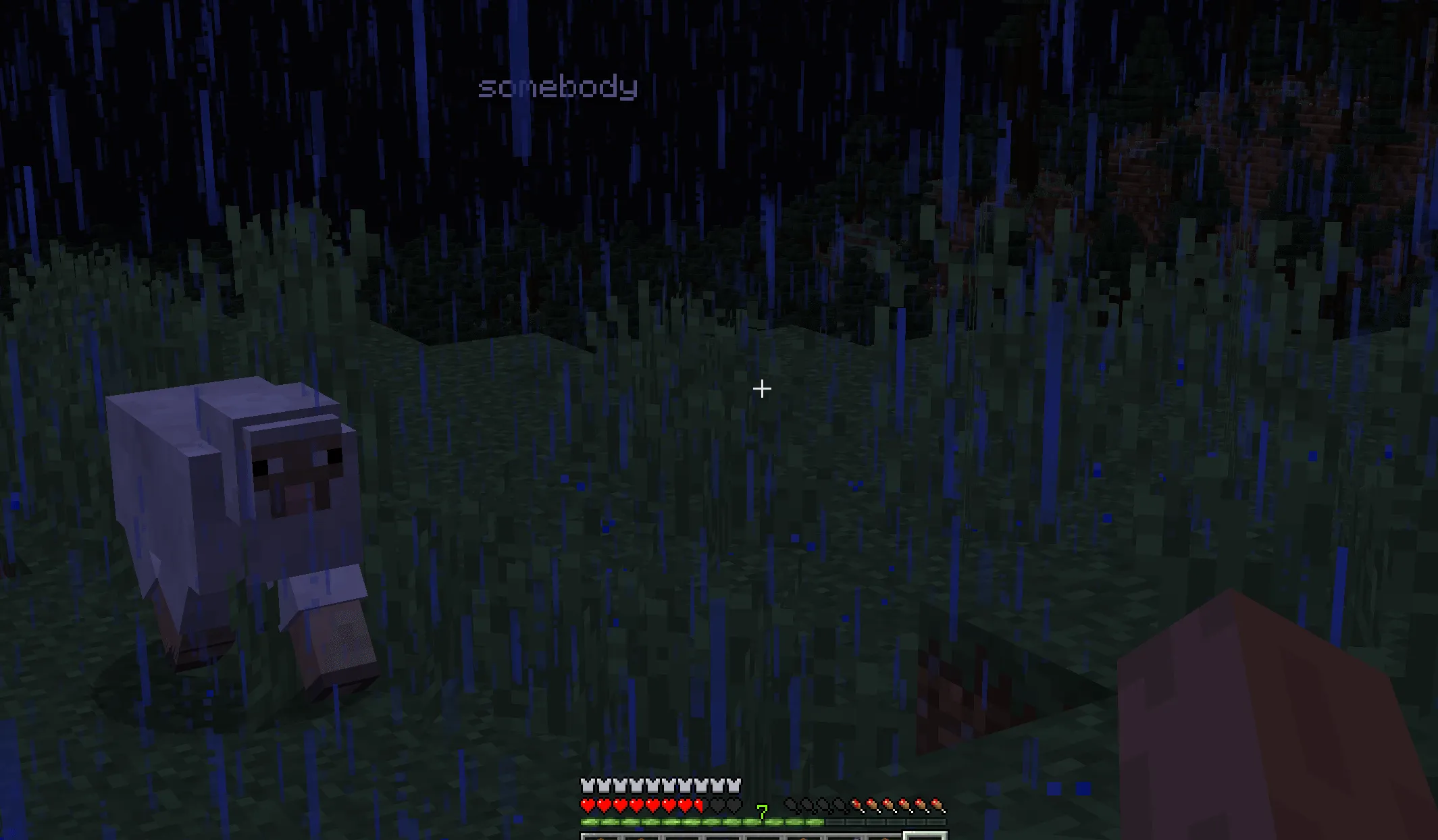 Somebody?, Моды, Minecraft