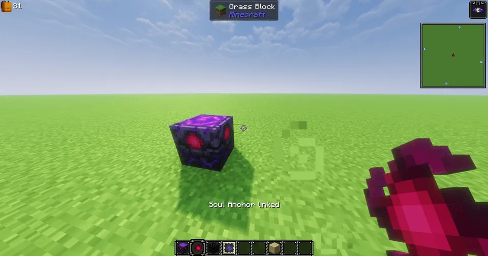 Swell Assortments, Моды, Minecraft