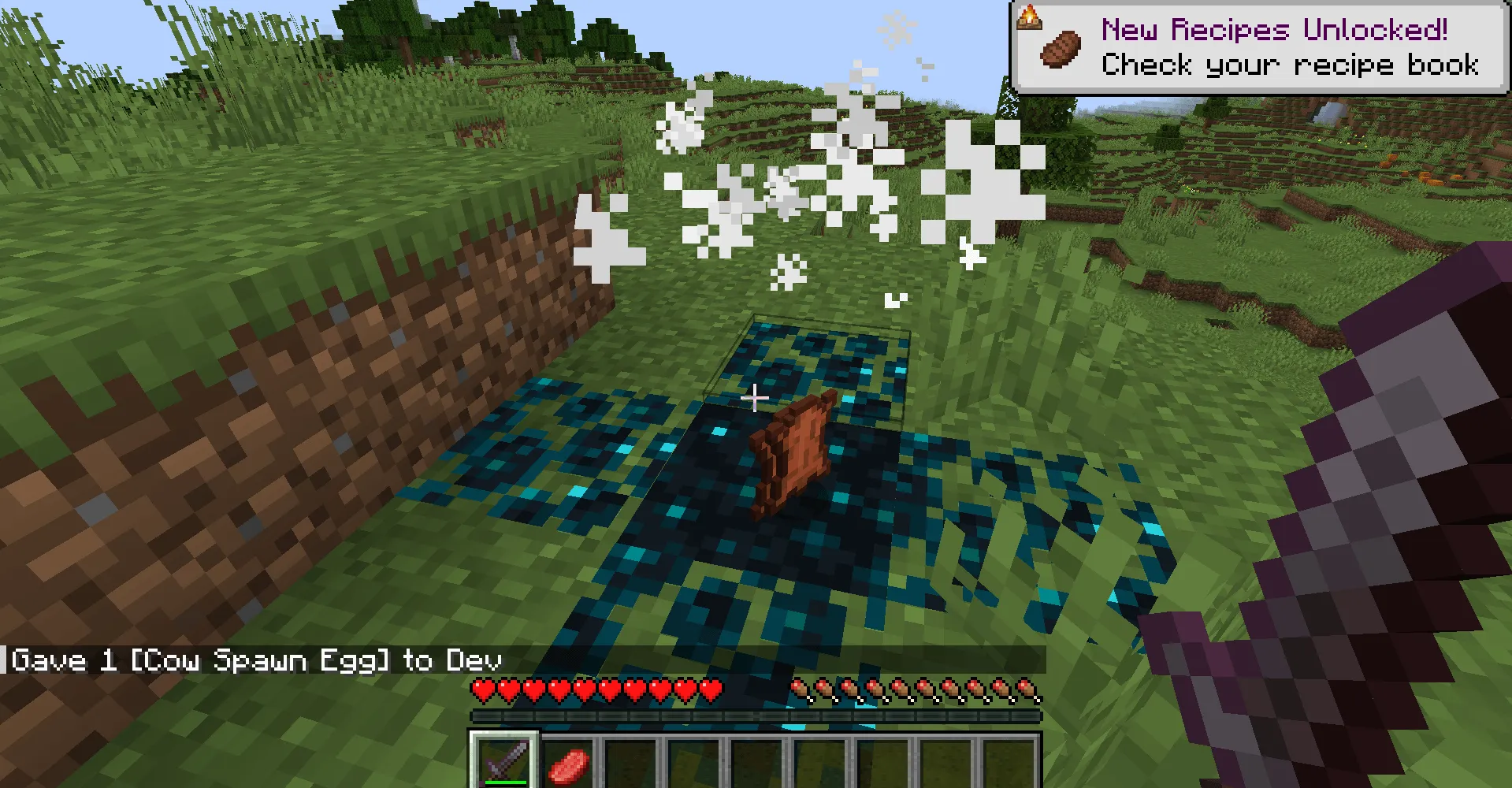 Sculk Dragon Utils, Моды, Minecraft