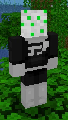Phantom Accessories, Моды, Minecraft