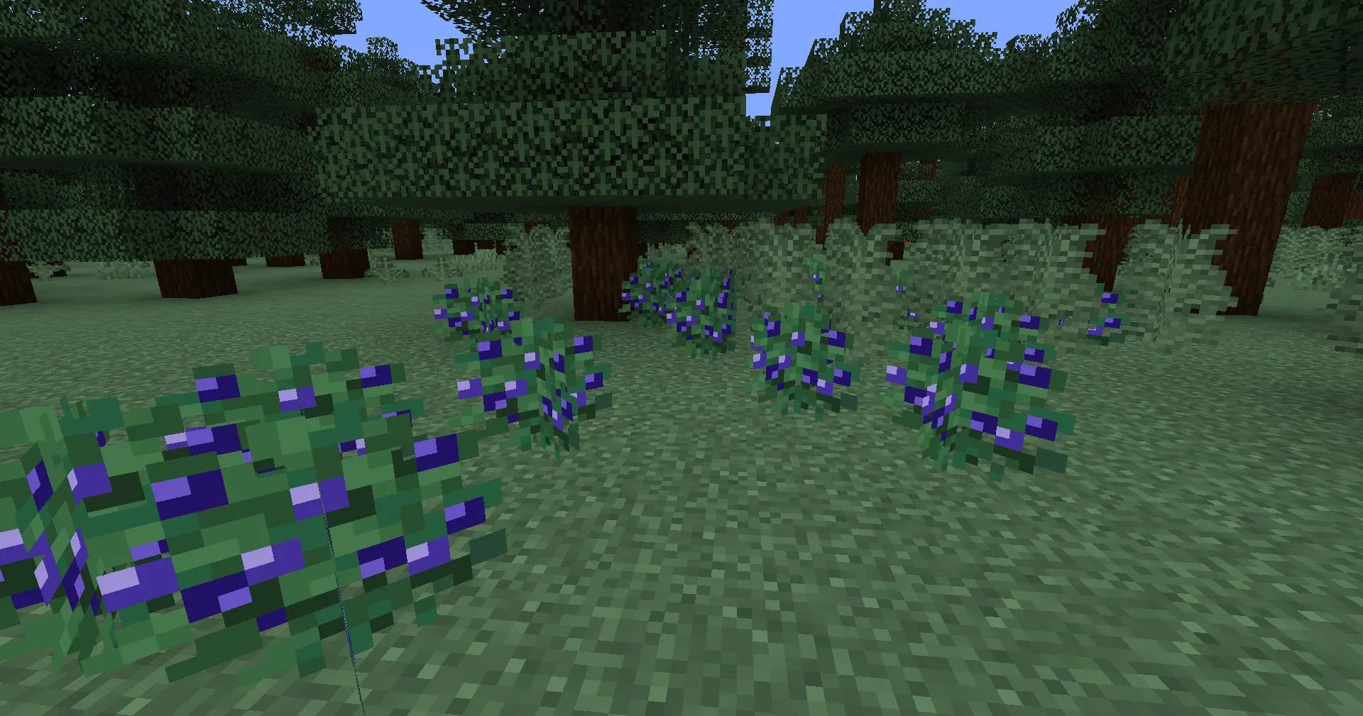 Blueberries!, Текстуры, Minecraft