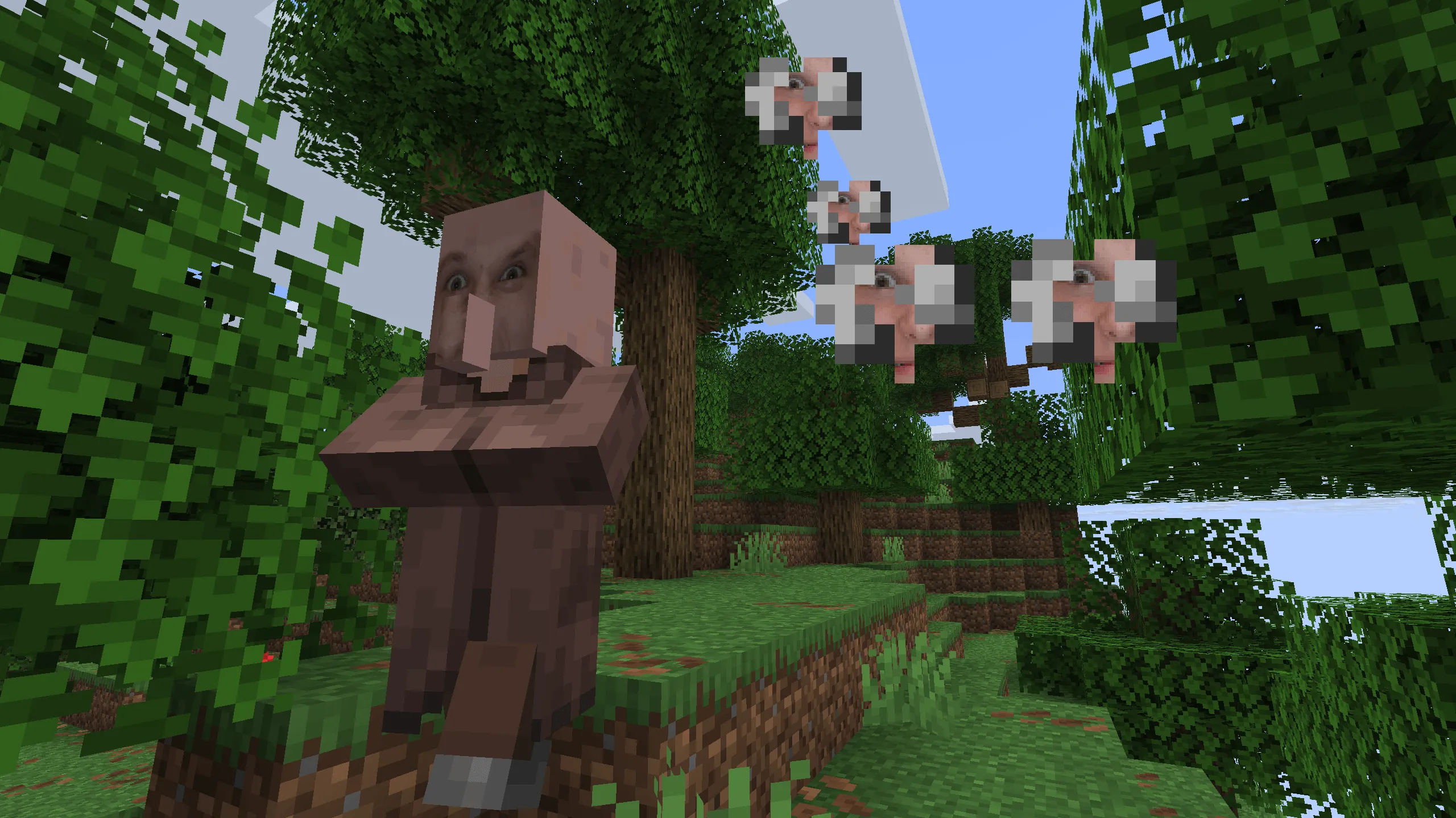 Roman, Текстуры, Minecraft