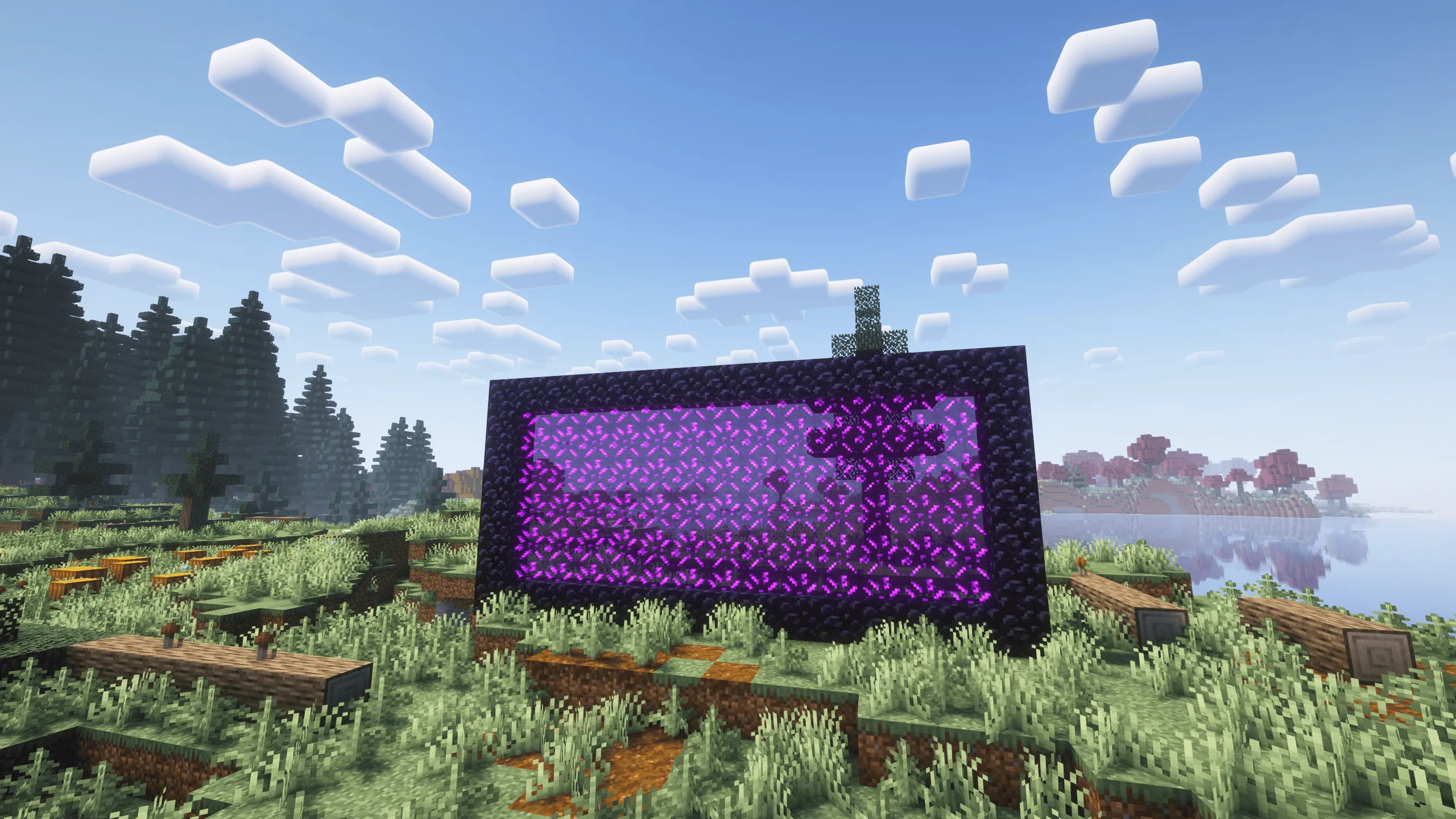 Custom Nether Portals [Any Shape Nether Portals], Моды, Minecraft