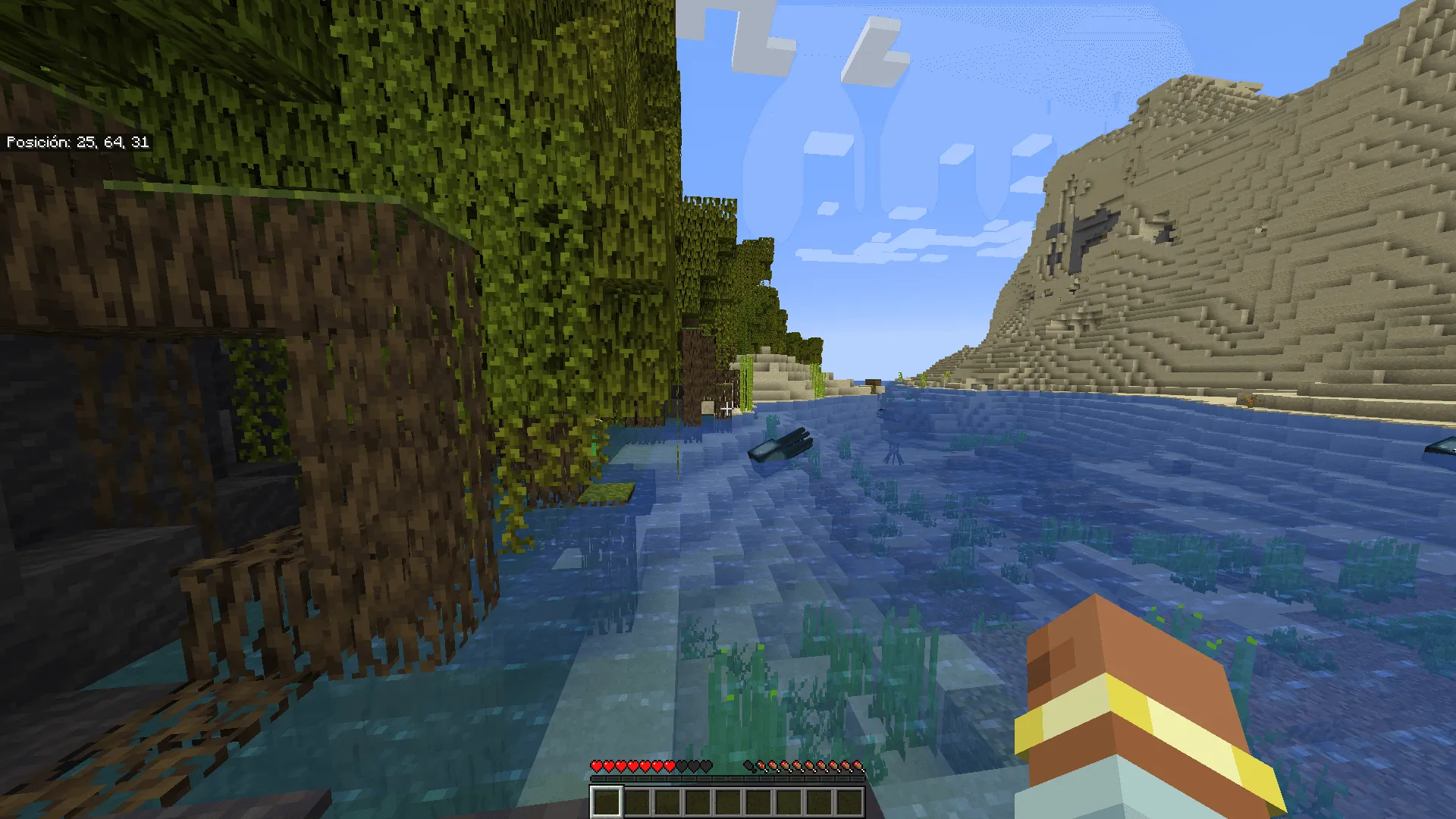 Coordinate — скриншот 2 (Моды, Minecraft)