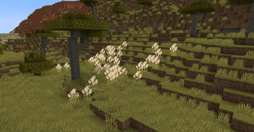Sweety's Garden, Моды, Minecraft