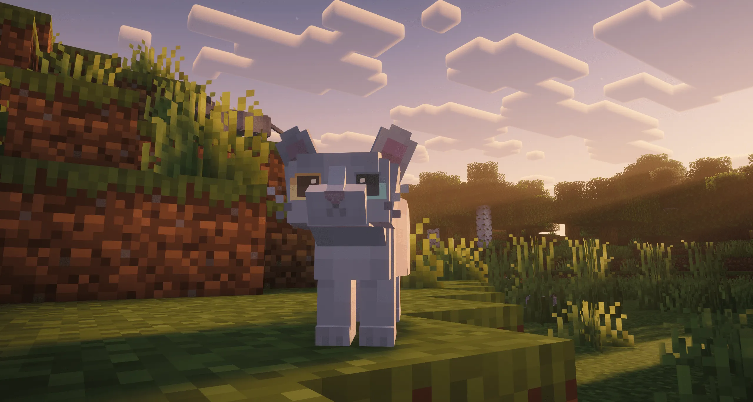 Refined Cats, Текстуры, Minecraft