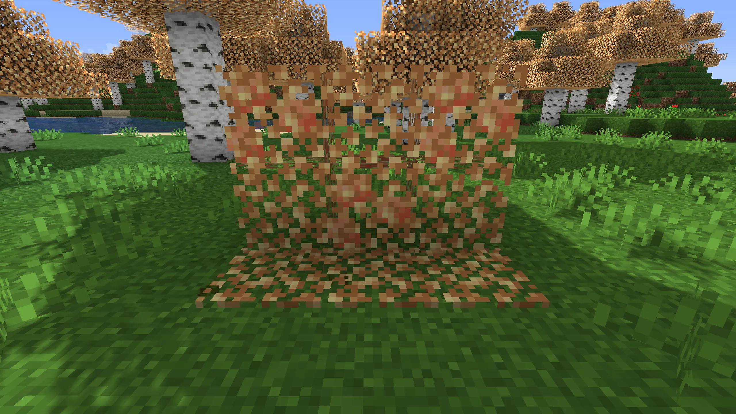 Golden Birch Leaves — скриншот 2 (Текстуры, Minecraft)