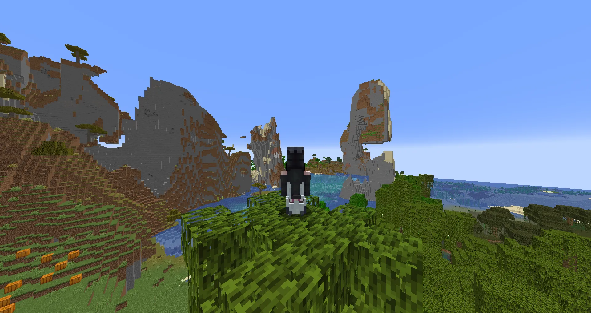 Flipped, Моды, Minecraft