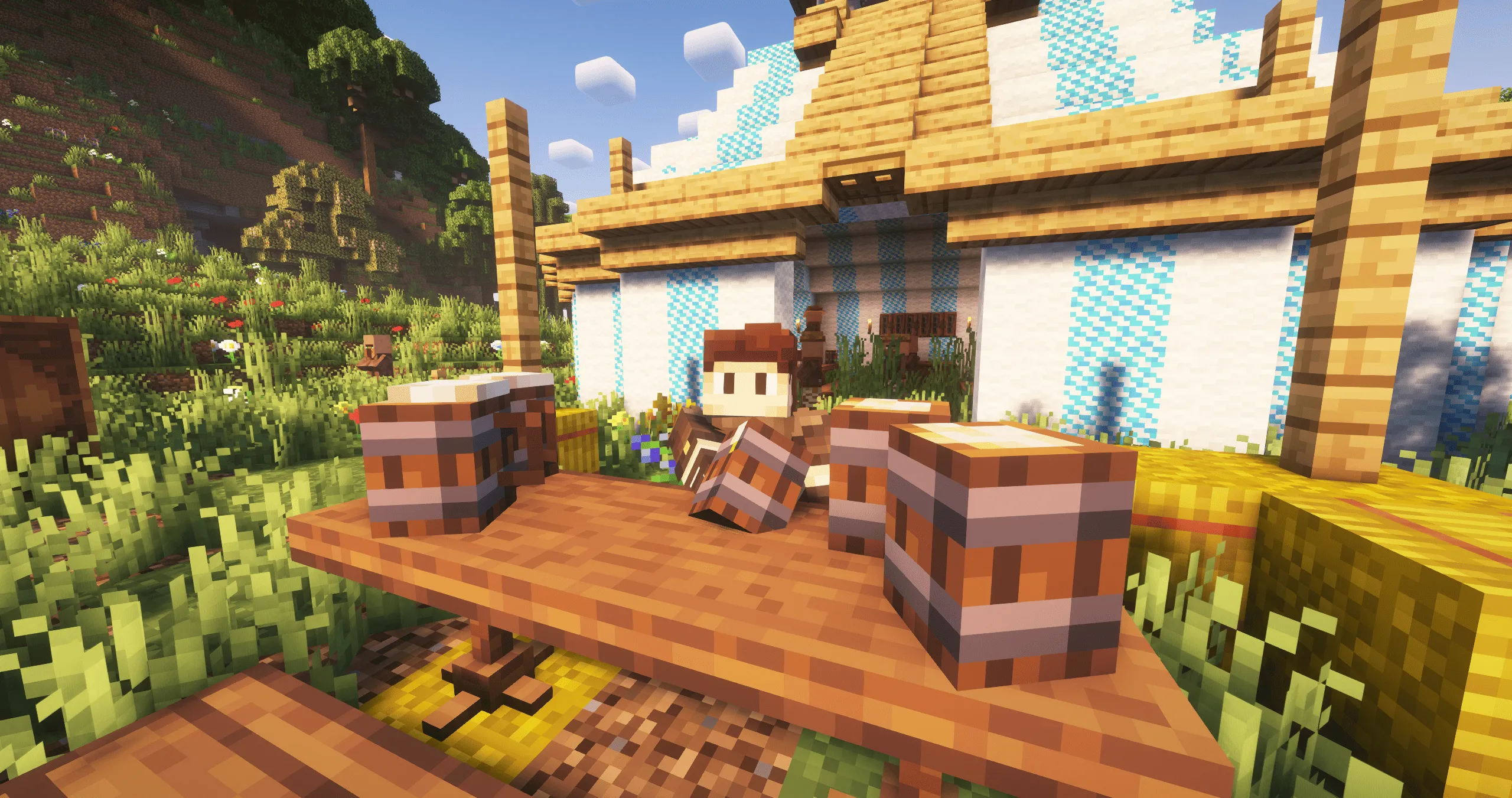 Let's Do Reimagined, Текстуры, Minecraft