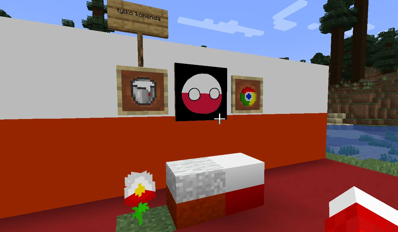 PolishCraft, Моды, Minecraft