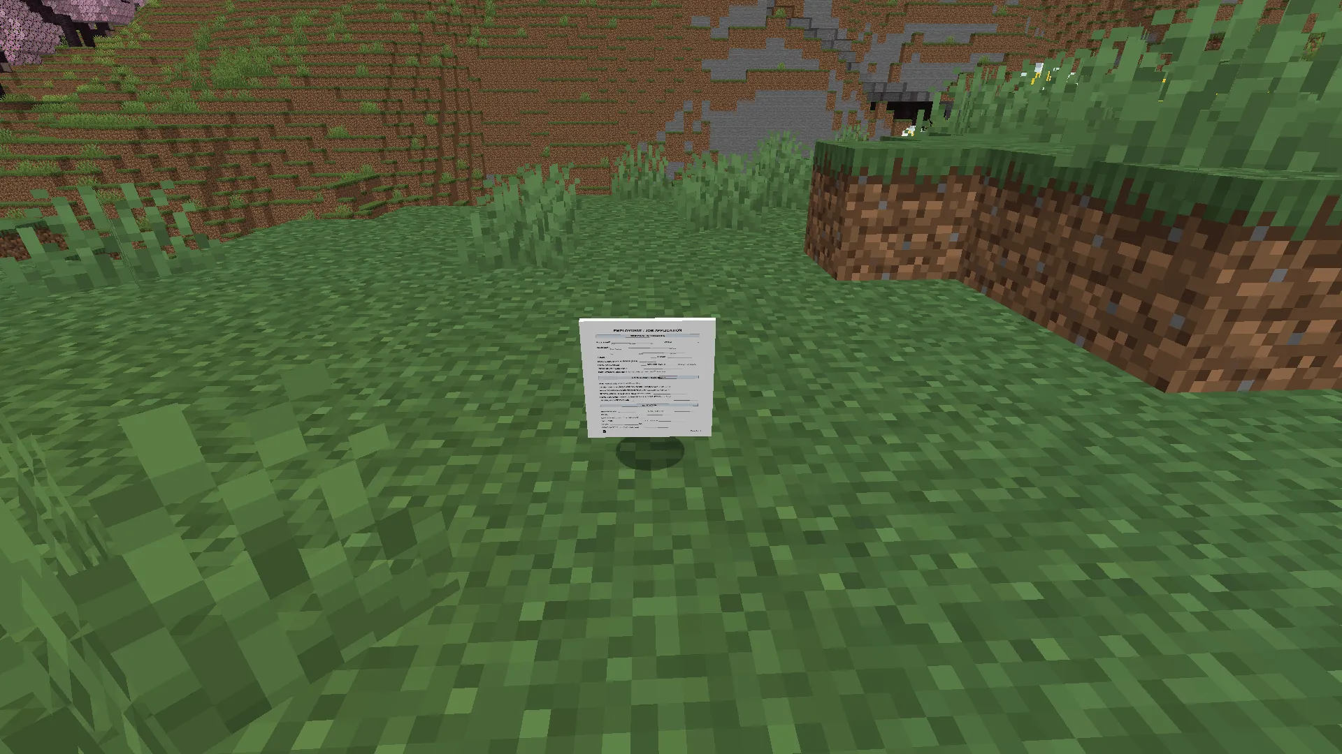 Brainrot Saga, Моды, Minecraft