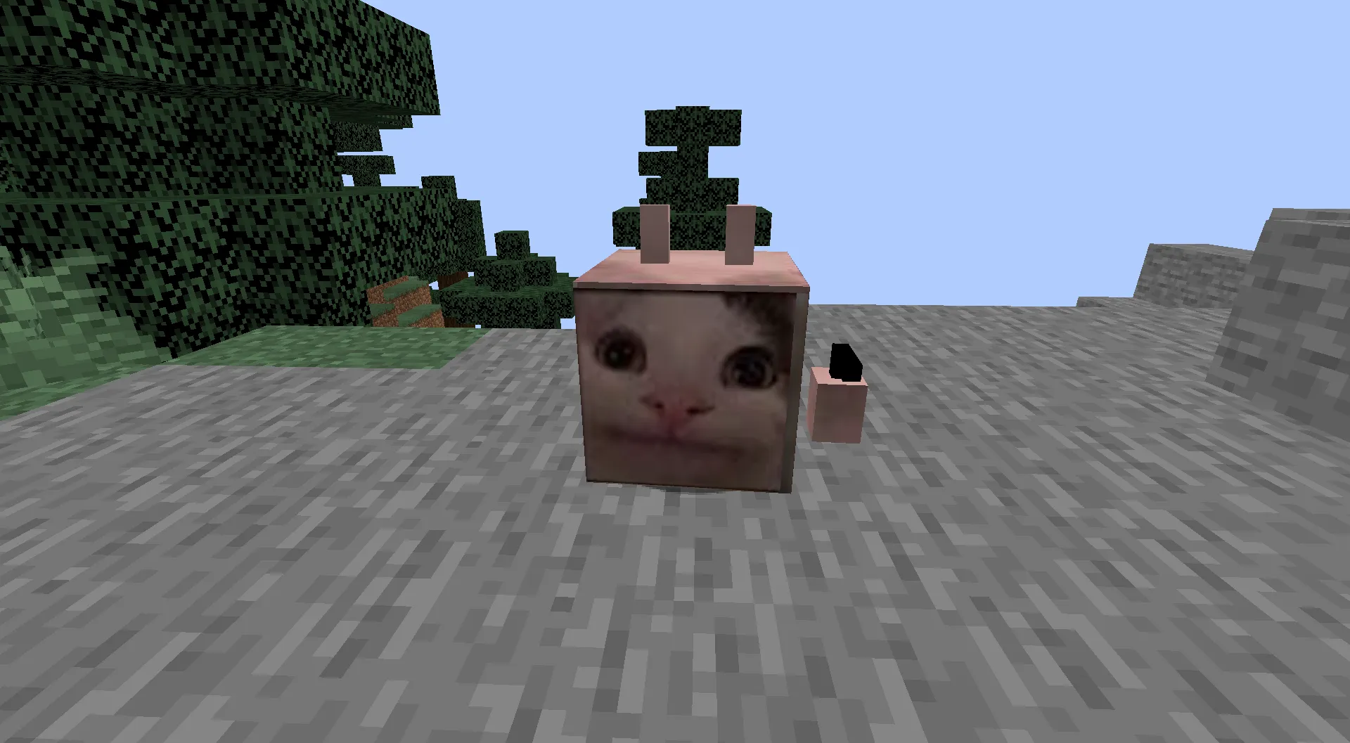 Floppa Worlds, Моды, Minecraft