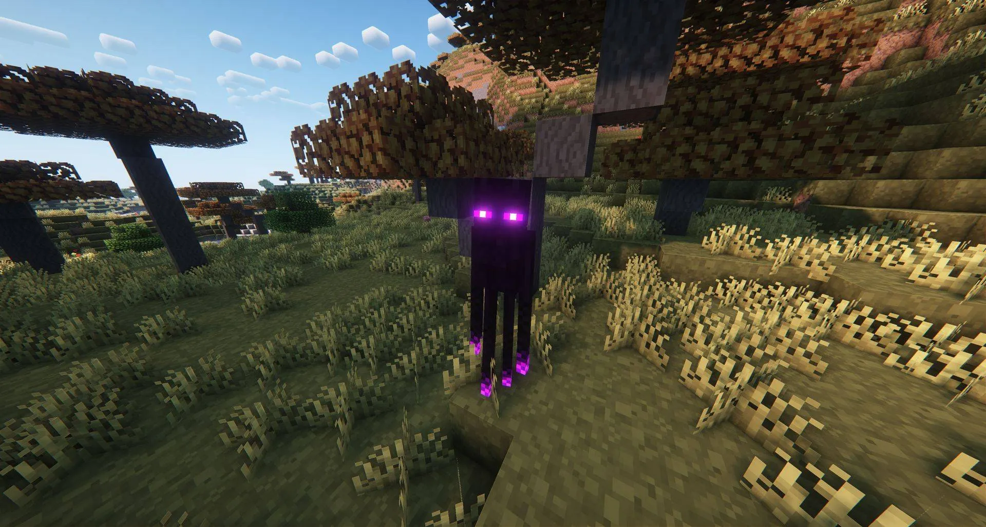 Embers: Rich & Timeless Overhauls Collection, Текстуры, Minecraft