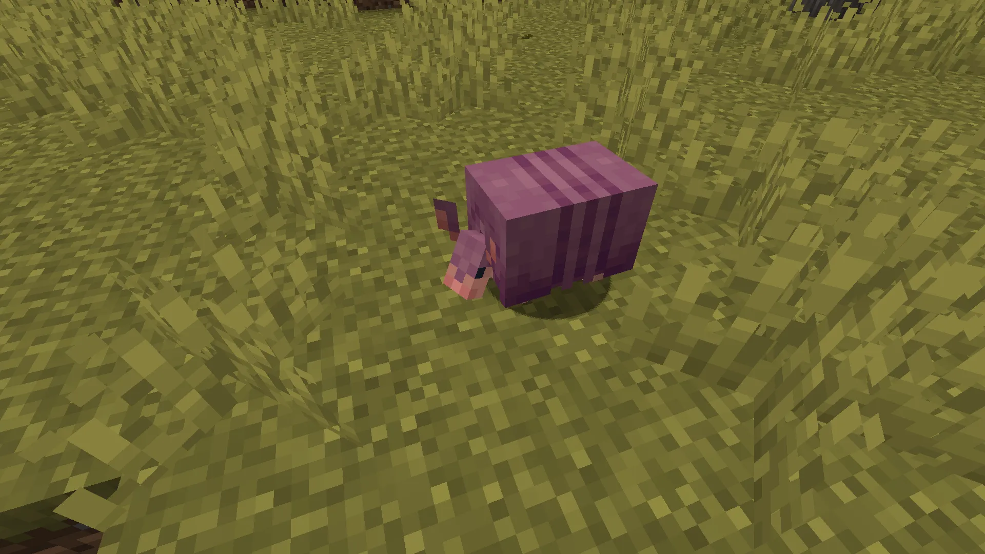 Varied Armadillos, Текстуры, Minecraft