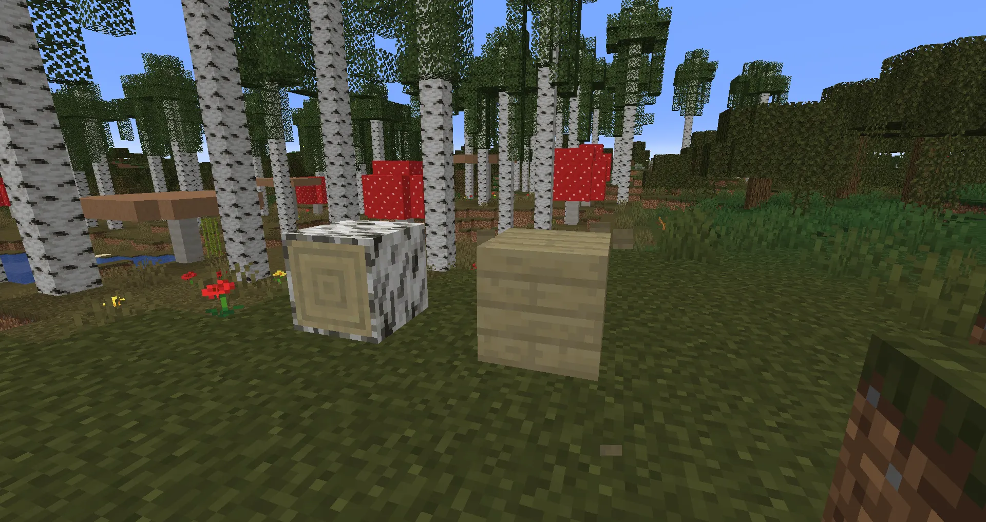 Forest update, Моды, Minecraft