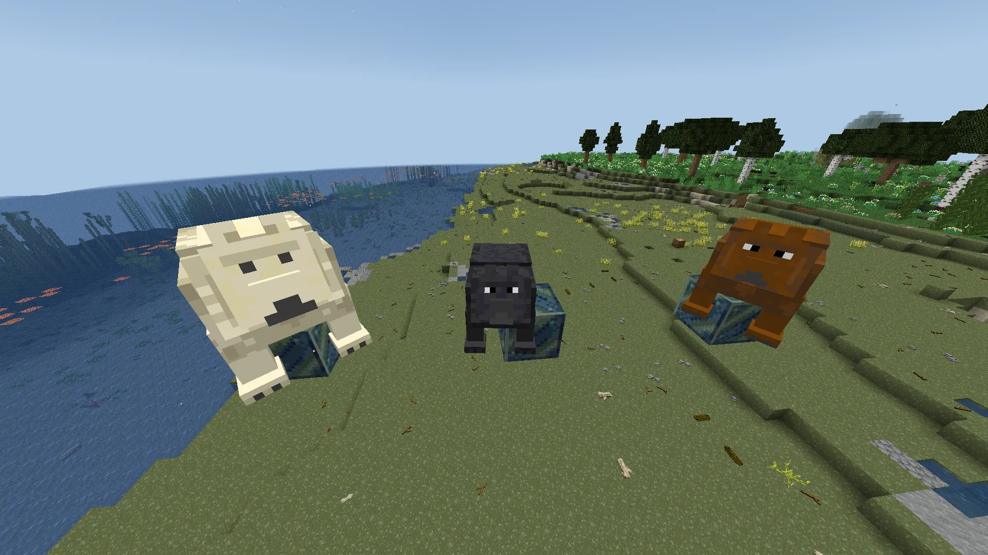 A new bear skin TFC, Текстуры, Minecraft